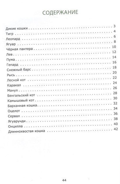 Фотография книги "Вадим Жижанов: Знакомьтесь: дикие кошки"