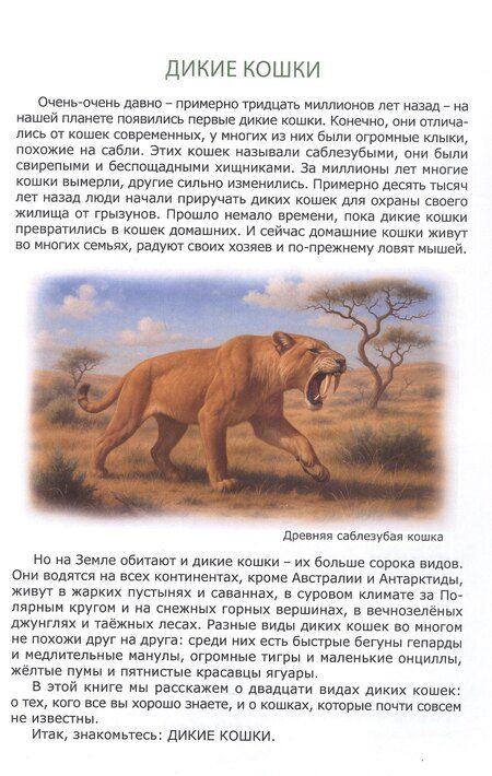 Фотография книги "Вадим Жижанов: Знакомьтесь: дикие кошки"