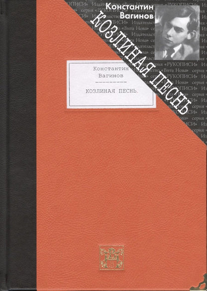 Обложка книги "Вагинов: Козлиная песнь"