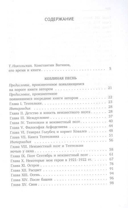 Фотография книги "Вагинов: Козлиная песнь"