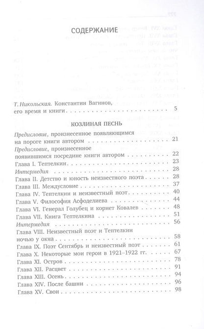 Фотография книги "Вагинов: Козлиная песнь"