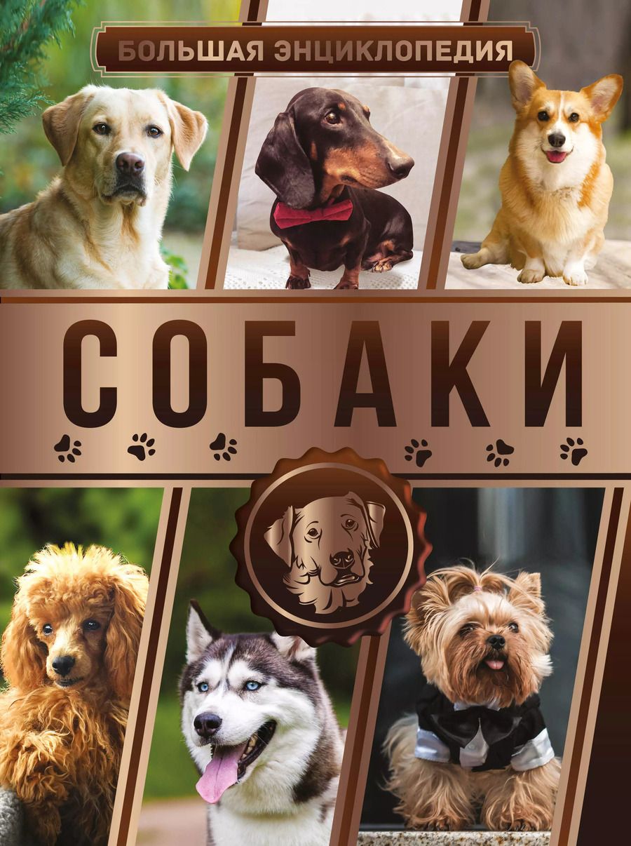 Обложка книги "Вайткене, Барановская, Филиппова: Большая энциклопедия. Собаки"