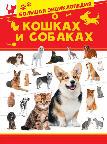Обложка книги "Вайткене, Барановская, Смирнов: Большая энциклопедия о кошках и собаках"