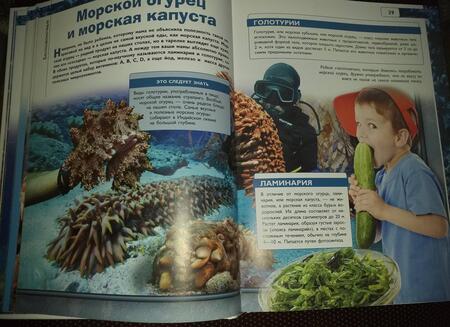 Фотография книги "Вайткене, Ликсо, Закотина: Подводный мир"