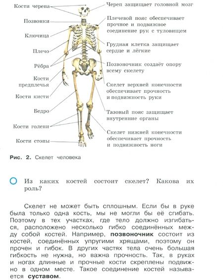 Фотография книги "Вахрушев, Борисанова, Родионова: Окружающий мир. 3 класс. Учебник. В 2-х частях. ФГОС"