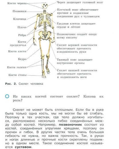 Фотография книги "Вахрушев, Борисанова, Родионова: Окружающий мир. 3 класс. Учебник. В 2-х частях. ФГОС"