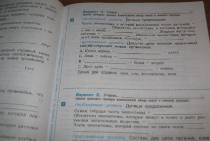 Фотография книги "Вахрушев, Бурский, Родыгина: Окружающий мир. Обитатели Земли. 3 класс. Проверочные и контрольные работы. Часть 1"