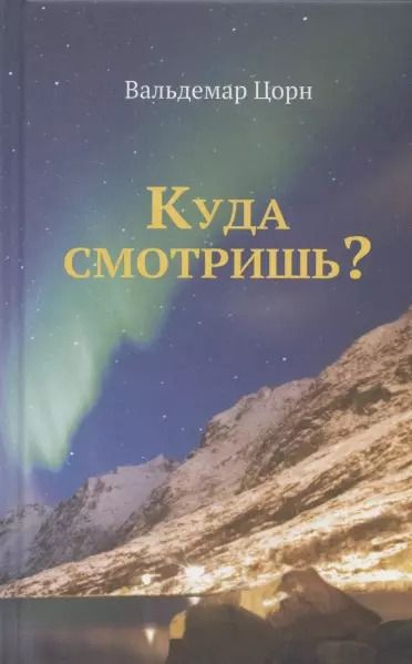 Обложка книги "Вальдемар Цорн: Куда смотришь?"