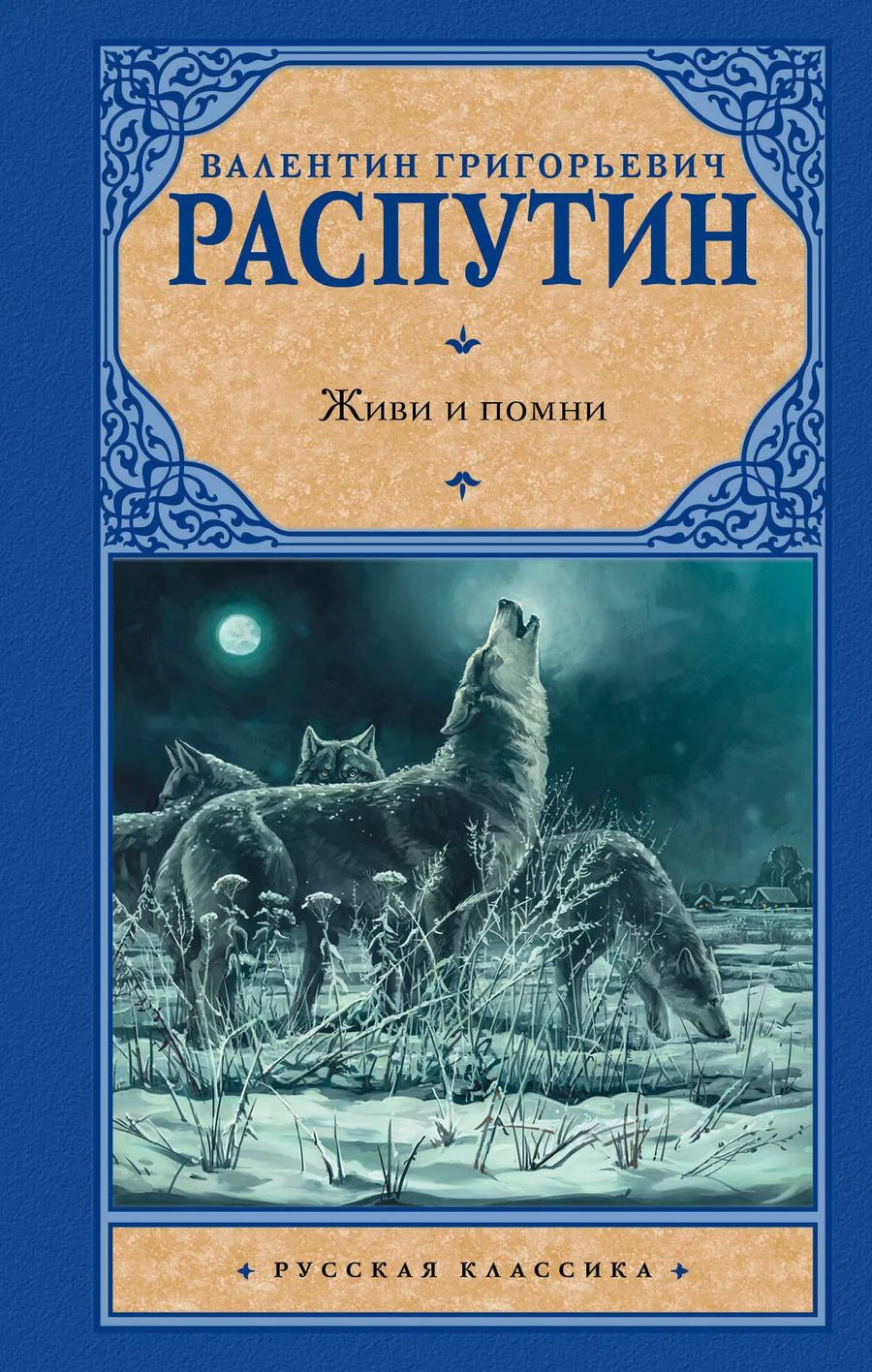 Обложка книги "Валентин Григорьевич: Живи и помни"