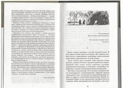 Фотография книги "Валентин Катаев: Сын полка"