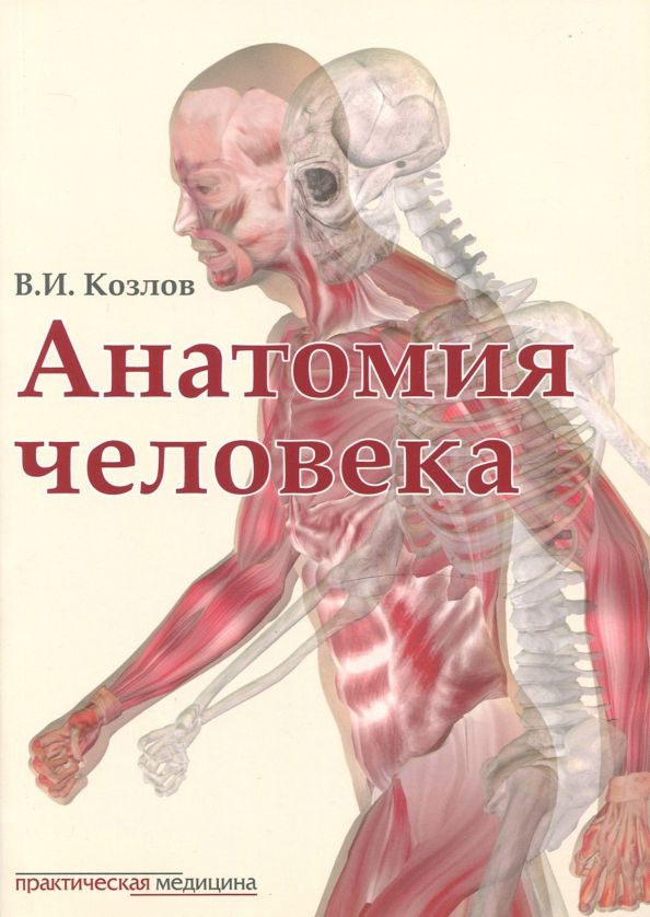 Обложка книги "Валентин Козлов: Анатомия человека. Учебник"