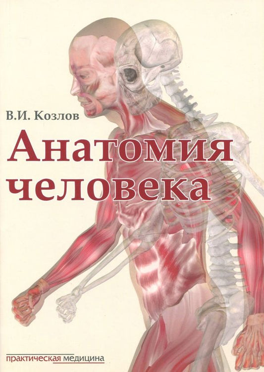 Обложка книги "Валентин Козлов: Анатомия человека. Учебник"