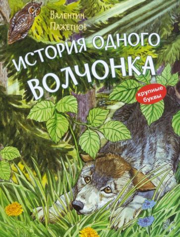 Обложка книги "Валентин Пажетнов: История одного волчонка"