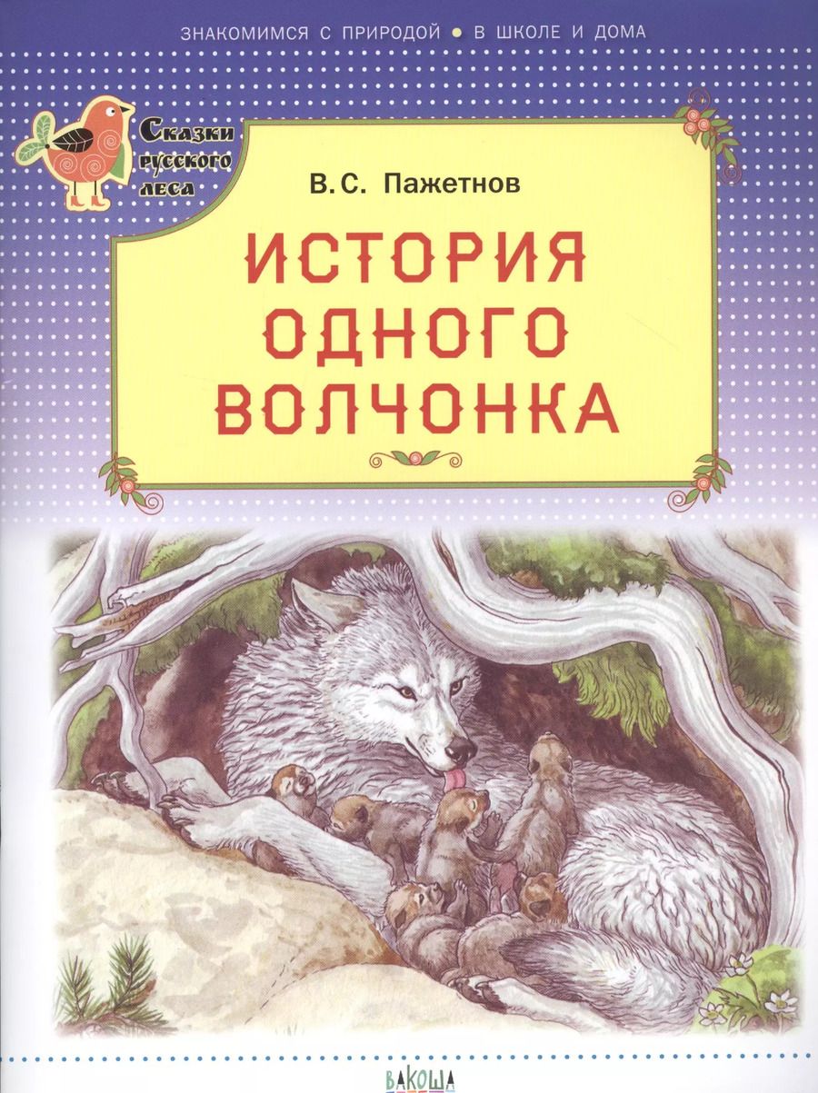Обложка книги "Валентин Пажетнов: История одного волчонка"