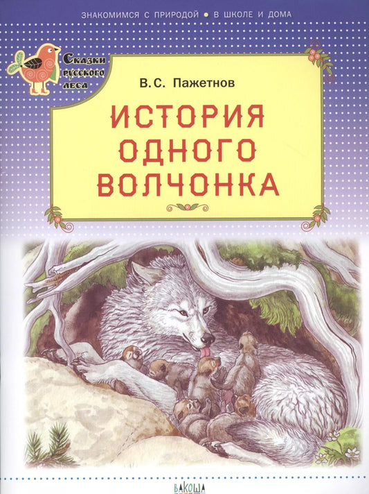 Обложка книги "Валентин Пажетнов: История одного волчонка"