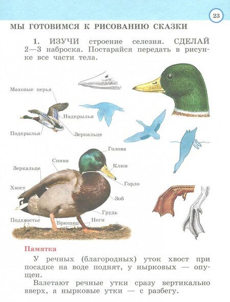 Фотография книги "Валентина Богатырева: Изобразительное искусство. 2 класс. Рабочая тетрадь. ФГОС"