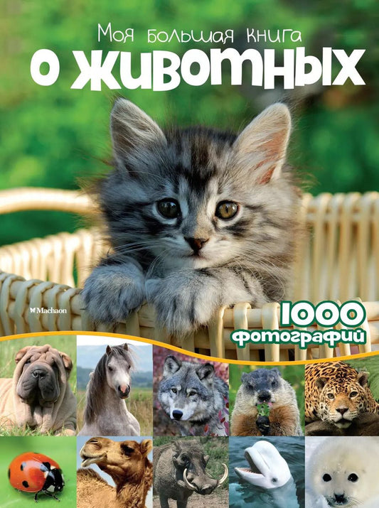Обложка книги "Валентина Бологова: Моя большая книга о животных"