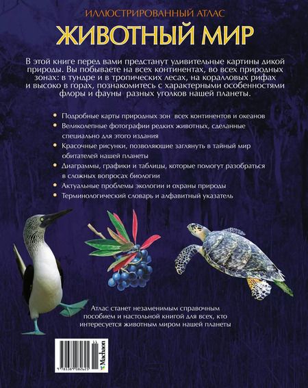 Фотография книги "Валентина Бологова: Животный мир. Иллюстрированный атлас"