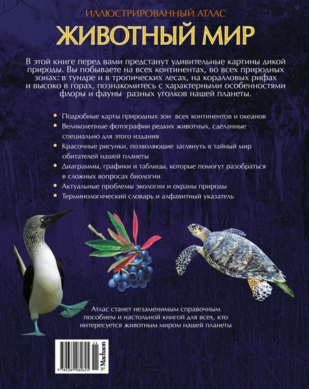 Фотография книги "Валентина Бологова: Животный мир. Иллюстрированный атлас"