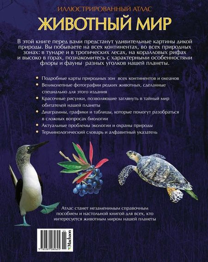 Фотография книги "Валентина Бологова: Животный мир. Иллюстрированный атлас"