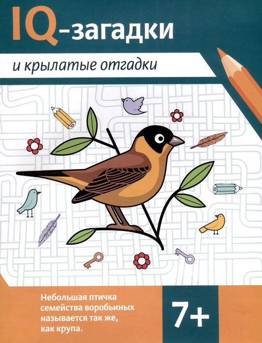 Обложка книги "Валентина Черняева: IQ-загадки и крылатые отгадки. 7+"