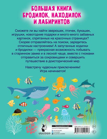 Фотография книги "Валентина Дмитриева: Большая книга бродилок, находилок и лабиринтов"