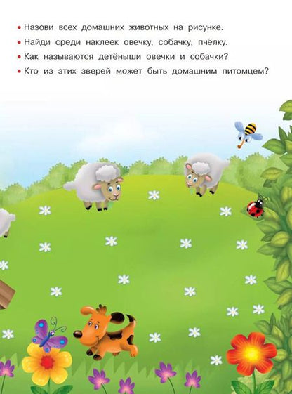 Фотография книги "Валентина Дмитриева: Домашние любимцы"