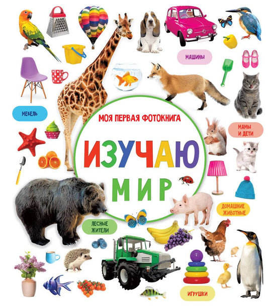 Обложка книги "Валентина Дмитриева: Изучаю мир. Моя первая фотокнига"