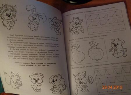 Фотография книги "Валентина Дмитриева: Каллиграфические прописи"