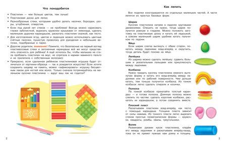 Фотография книги "Валентина Геннадьевна: Лепим из пластилина для девочек"