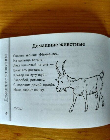 Фотография книги "Валентина Мирясова: Загадки о животных"