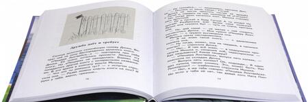 Фотография книги "Валентина Осеева: Динка"