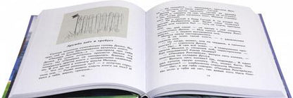 Фотография книги "Валентина Осеева: Динка"