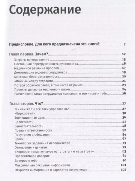 Фотография книги "Валера Разгуляев: Бирюзовое управление на практике: Опыт российских компаний. 2-е издание, обновлённое и дополненное"