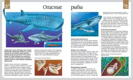 Фотография книги "Валери Ле: Мир моря"