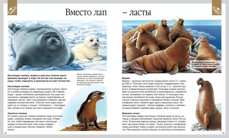 Фотография книги "Валери Ле: Мир моря"