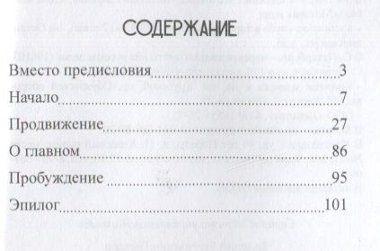 Фотография книги "Валерий Гнездов: Несущие свет. Истина честности. Книга первая"