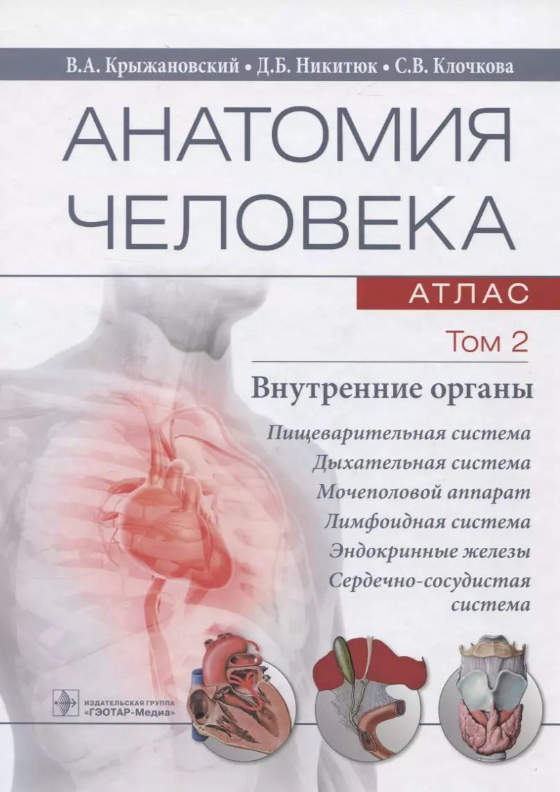Обложка книги "Валерий Крыжановский: Анатомия человека. Атлас. Учебное пособие. Том 2. Внутренние органы"