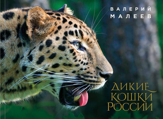 Обложка книги "Валерий Малеев: Дикие кошки России"
