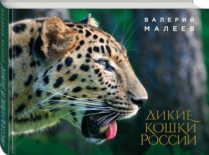 Фотография книги "Валерий Малеев: Дикие кошки России"