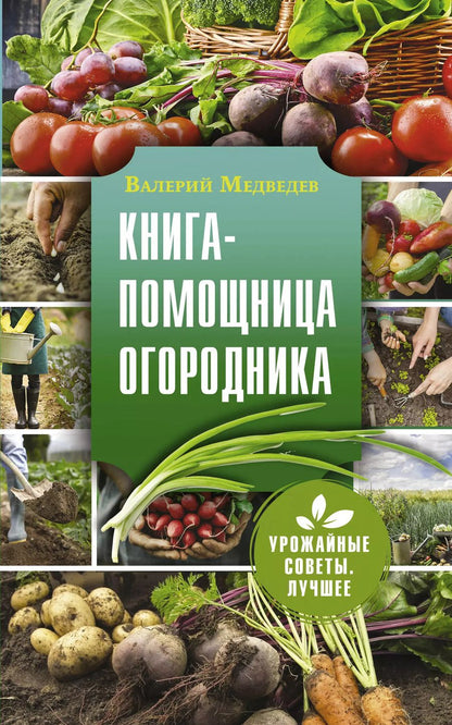 Обложка книги "Валерий Медведев: Книга-помощница огородника - Заметки успешного огородника"