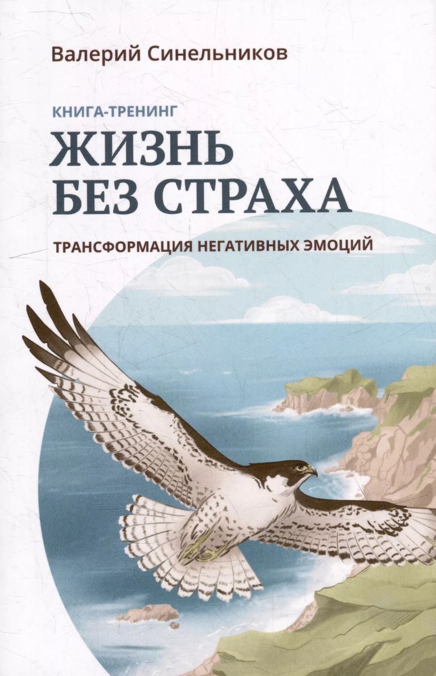 Обложка книги "Валерий Синельников: Жизнь без страха. Трансформация негативных эмоций"