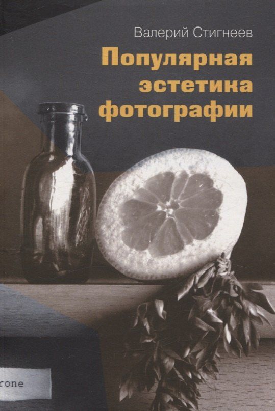 Обложка книги "Валерий Стигнеев: Популярная эстетика фотографии"