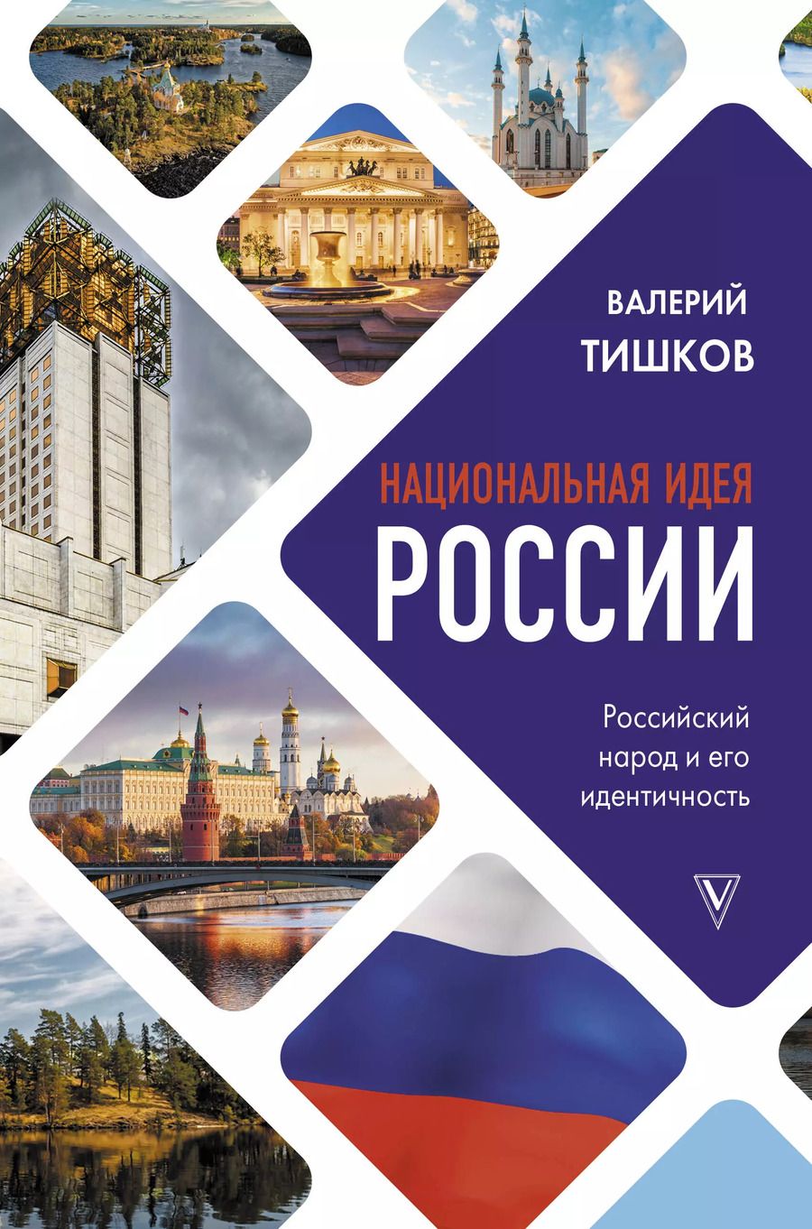 Обложка книги "Валерий Тишков: Национальная идея России"