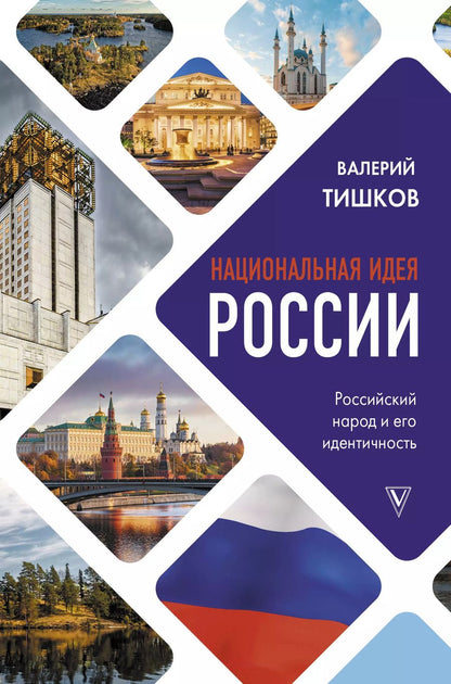 Обложка книги "Валерий Тишков: Национальная идея России"