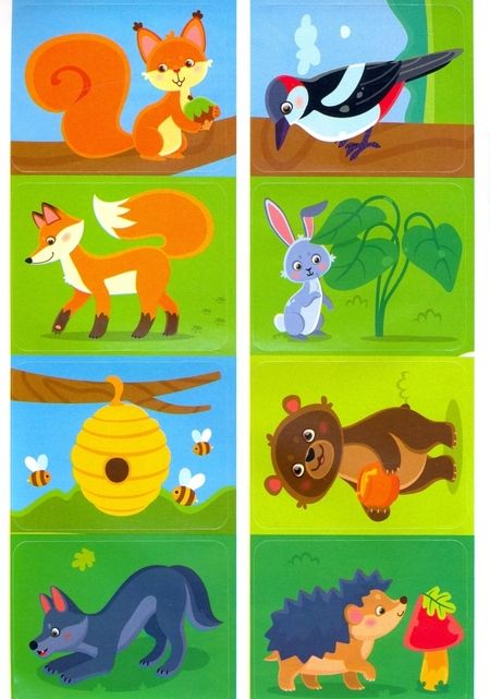 Фотография книги "Валерия Салтанова: Пойдем в лес! Книжка с наклейками"