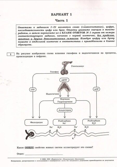 Фотография книги "Валерьян Сергеевич: ОГЭ 2026. Биология. Типовые экзаменационные варианты. 30 вариантов"