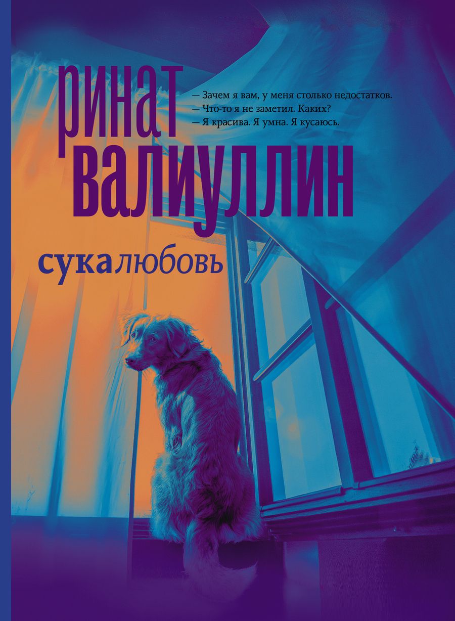 Обложка книги "Валиуллин: Сукалюбовь"
