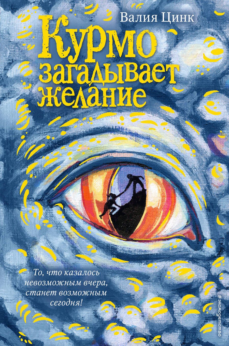 Обложка книги "Валия Цинк: Курмо загадывает желание"