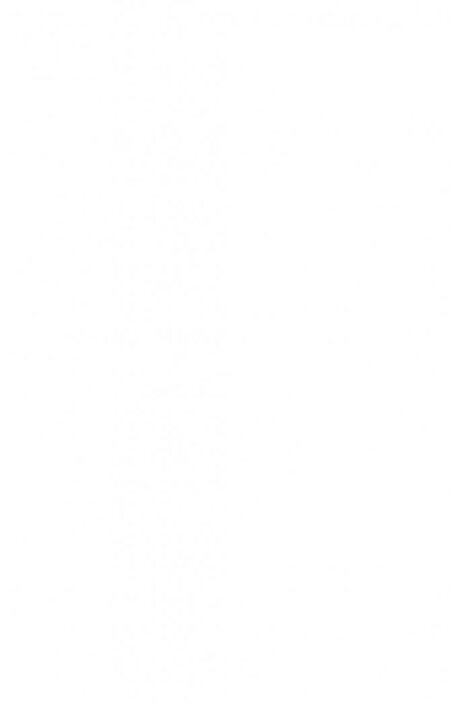 Фотография книги "Валия Цинк: Пенелопа и огненное чудо"